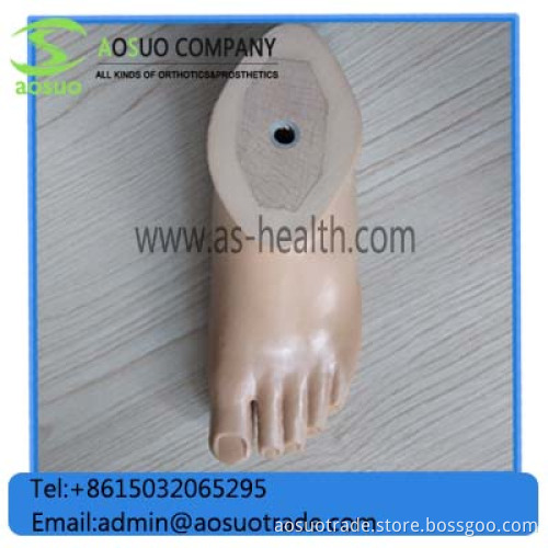 Sach Foot Orthopedic Implant Prosthetic Sach Foot